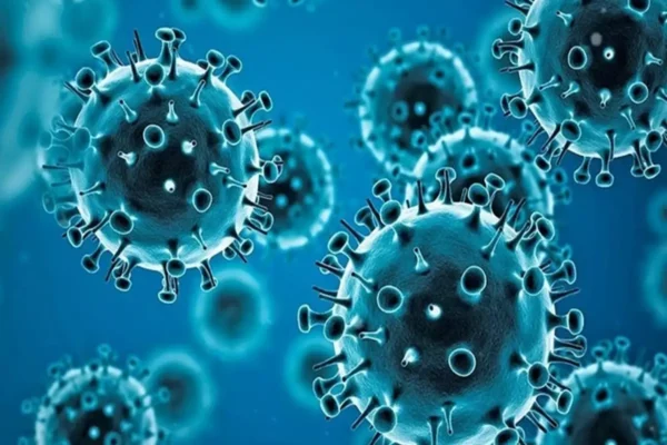 Human Metapneumovirus (hmpv) In India Separating Fact From Fear