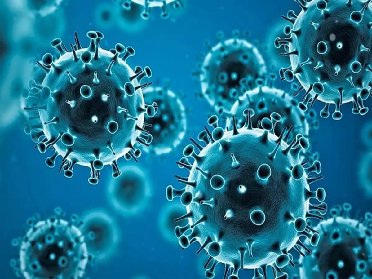 Human Metapneumovirus (hmpv) In India Separating Fact From Fear