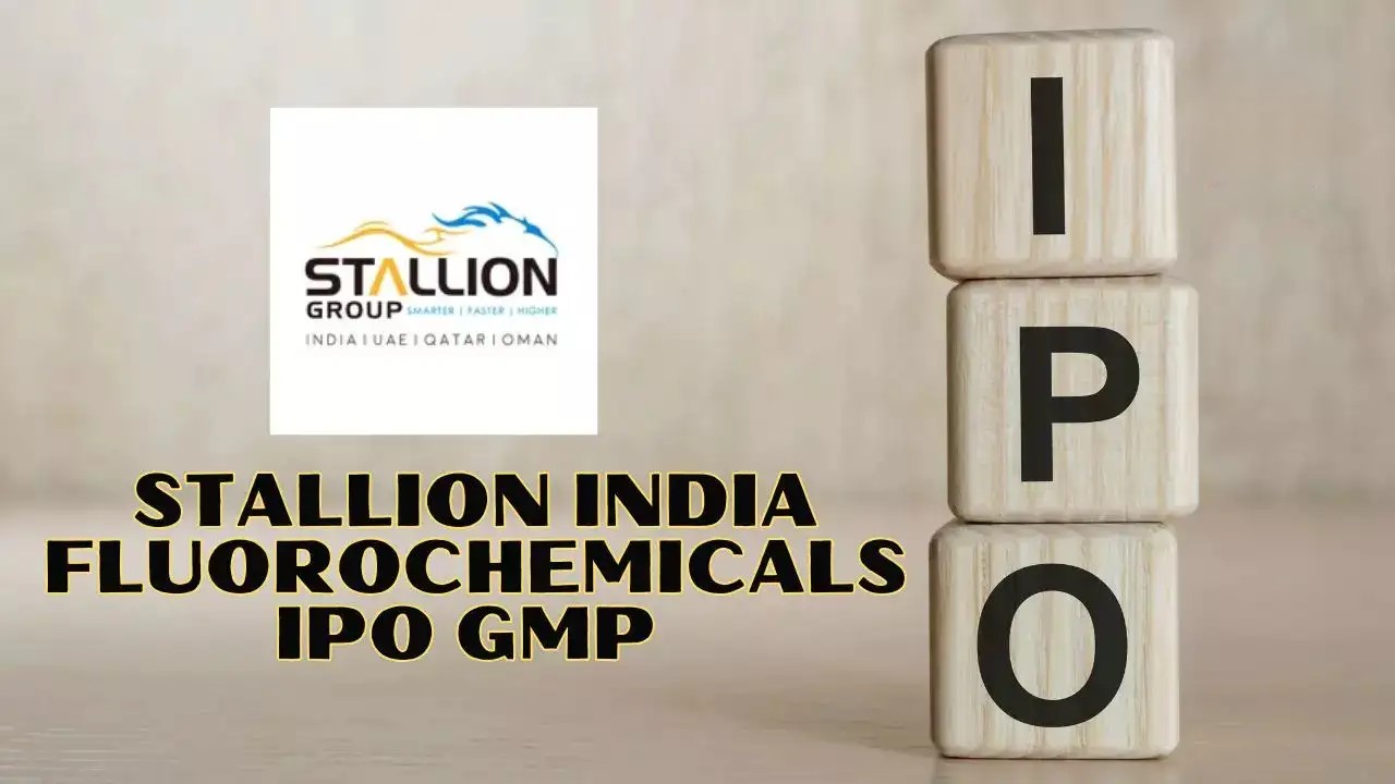 Stallion India Fluorochemicals IPO Day 3: GMP, subscription status, and expert review.